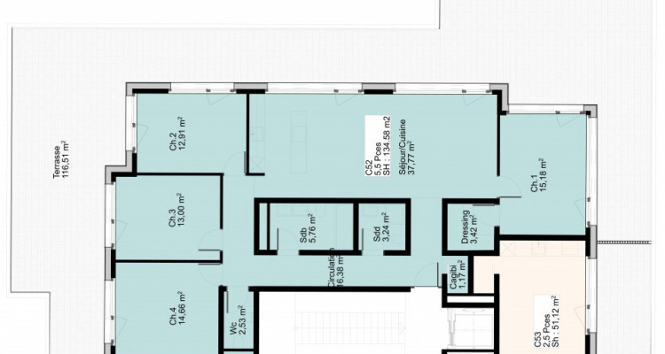 Appartement de 5,5 pièces avec terrasse EN ATTIQUE image 5