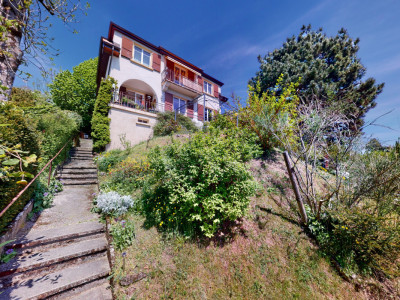 Petit coin de paradis à quelques minutes du centre-ville (2 logements) image 2