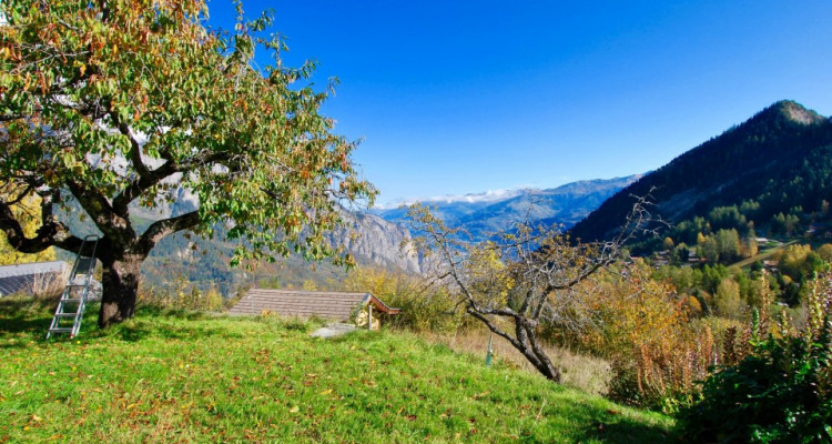 Chalet mitoyen à rénover au Mayens-de-Chamoson avec une magnifique vue  image 1
