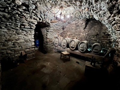 Maison de village multi-appartements à rénover + grange / raccard au coeur du village (Val dHérens) image 8