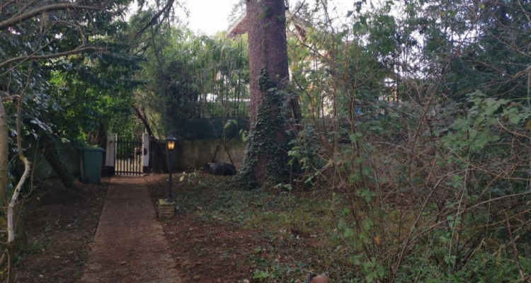 Maison complètement à rénover   image 5