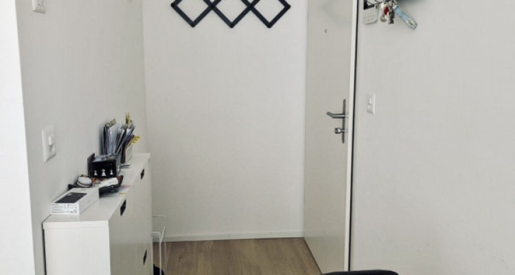 Appartement Plan-les-Ouates - 2 pièces image 7