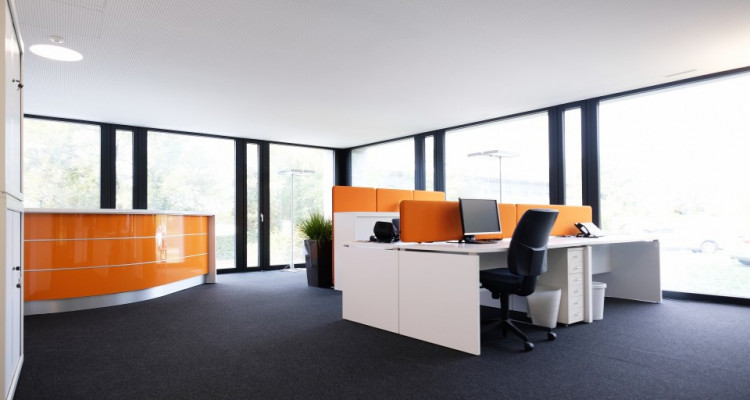 Magnifiques bureaux Minergie - Coworking // St-Sulpice - 300m² image 2
