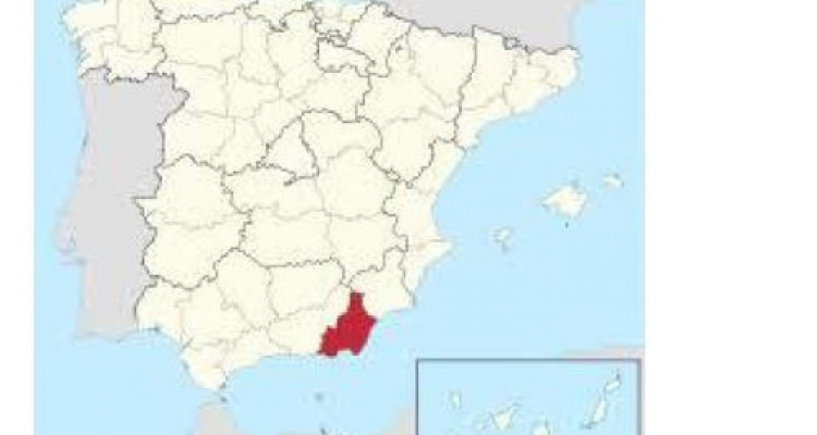 Land for 461 single properties, 20 mins from the World heritage resort Sierra de Gat (ALMERIA - SPAIN) image 8