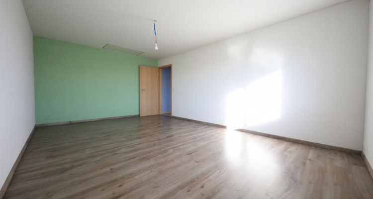 PPE 3 lots - Local/atelier - Halle industrielle  + grand bureau  image 10