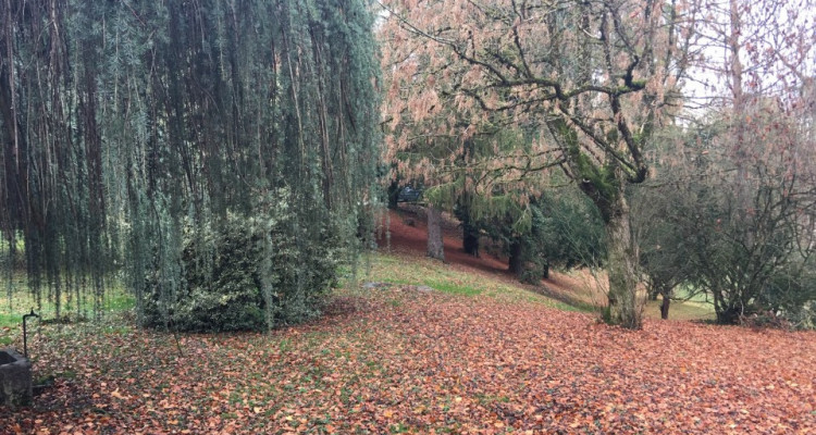 Splendide attique neuf sur plans, 5 pièces en PPE  image 4