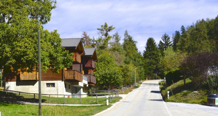 En exclusivité : Chalet à vendre sur la commune de Chalais à Briey image 7