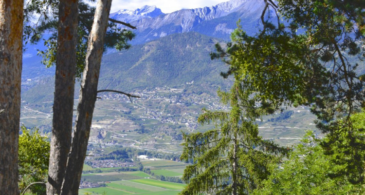 En exclusivité : Chalet à vendre sur la commune de Chalais à Briey image 11