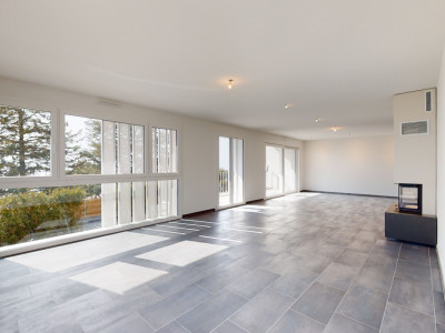 Exclusif: Appartement de standing avec vue panoramique sur le lac image 7