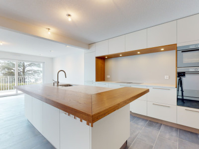 Exclusif: Appartement de standing avec vue panoramique sur le lac image 9