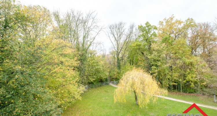 À louer attique duplex « Les lofts de Drize »  image 8