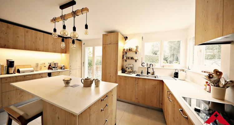 Découvrez cette magnifique maison individuelle à Corsier Port image 3