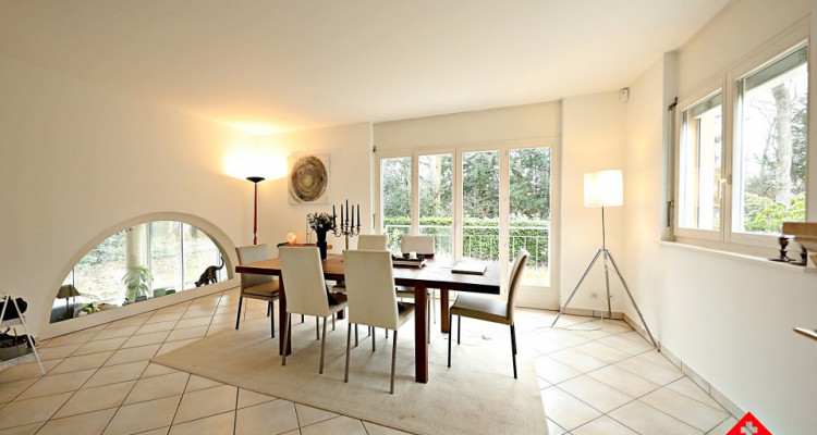 Découvrez cette magnifique maison individuelle à Corsier Port image 4