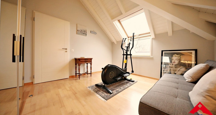 Découvrez cette magnifique maison individuelle à Corsier Port image 10