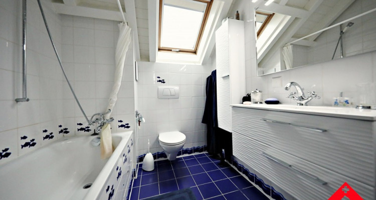 Découvrez cette magnifique maison individuelle à Corsier Port image 11