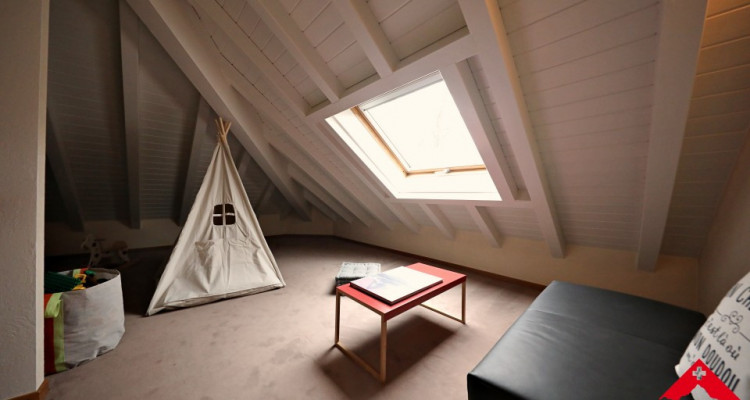 Découvrez cette magnifique maison individuelle à Corsier Port image 12