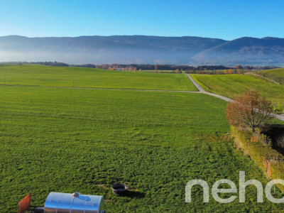 NEUF EN VENTE SUR PLAN  Superbe 4.5 pces en bordure de zone agricole image 6