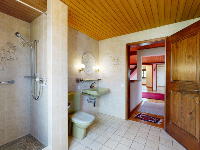 Charmantes Baselbieter Bauernhaus mit Einliegerwohnung und Landreserve image 8