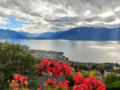 BLONAY - VILLA EXCEPTIONNELLE ET MODERNE - 6.5 PIECES image 3