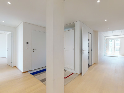 Helle 4.5 Zimmer Ruheoase in Winterthur image 3