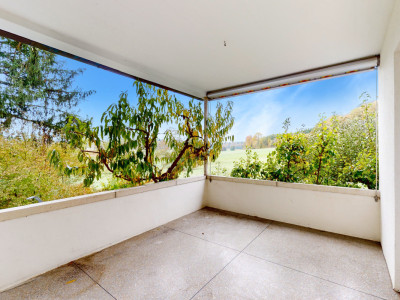 Wohnen im Grünen und doch zentral! image 4