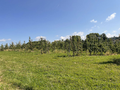 EPALINGES - BEL APPARTEMENT - 4.5 PIECES image 3