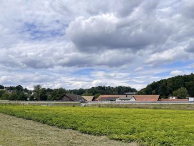 MELLINGEN - SCHÖNE VILLA - 7.0 ZIMMER image 2