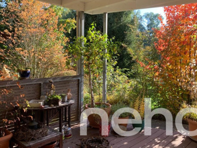 Sonniges Familienparadies mit viel Umschwung  image 10