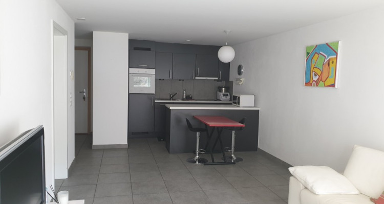 Appartement 2 ½ pièces moderne avec terrasse, meublé, Champsec, Sion image 3