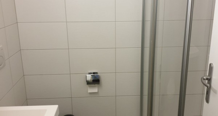 Appartement 2 ½ pièces moderne avec terrasse, meublé, Champsec, Sion image 6