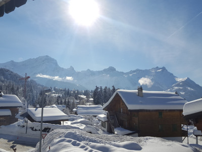 Villars - Appartement 3,5 pièces - vue imprenable image 12